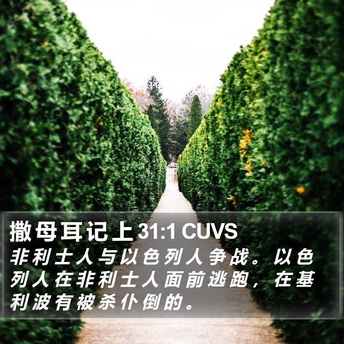 撒 母 耳 记 上 31:1 CUVS Bible Study