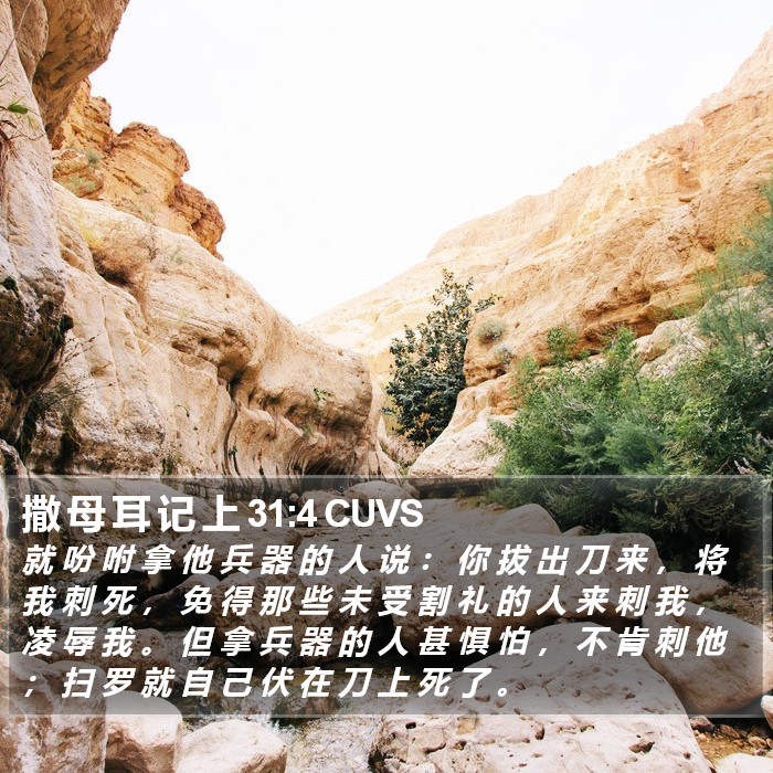 撒 母 耳 记 上 31:4 CUVS Bible Study