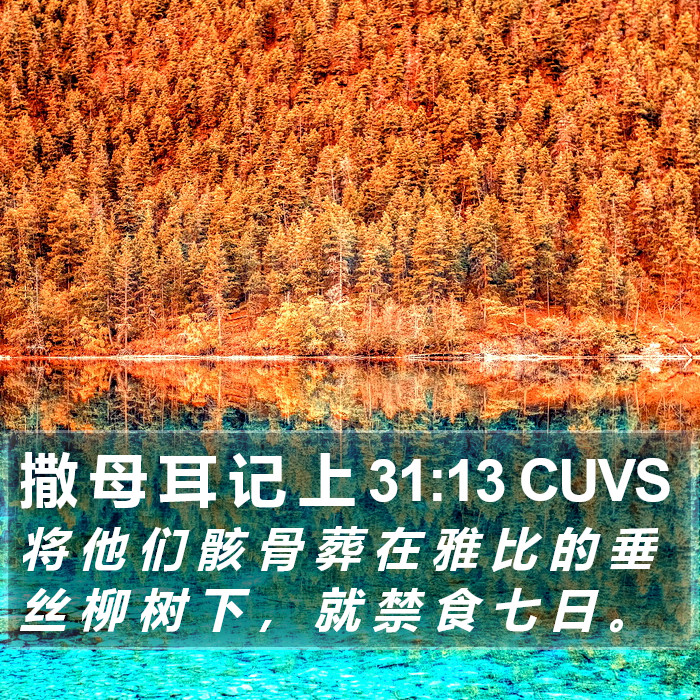 撒 母 耳 记 上 31:13 CUVS Bible Study