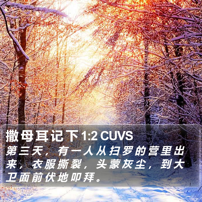 撒 母 耳 记 下 1:2 CUVS Bible Study