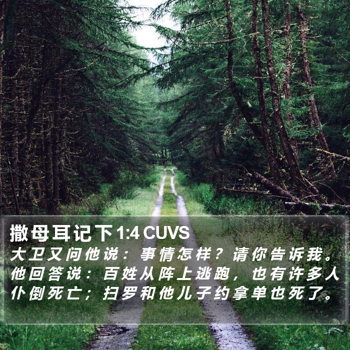 撒 母 耳 记 下 1:4 CUVS Bible Study