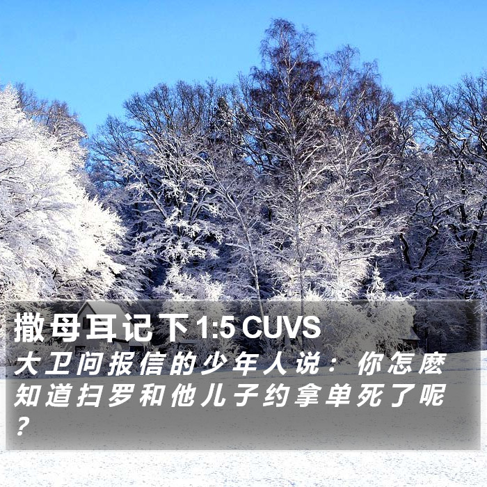 撒 母 耳 记 下 1:5 CUVS Bible Study