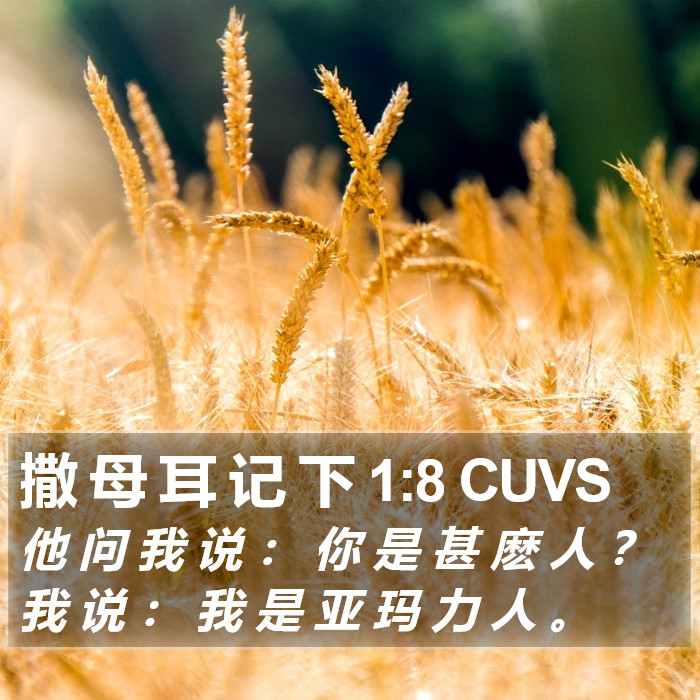 撒 母 耳 记 下 1:8 CUVS Bible Study