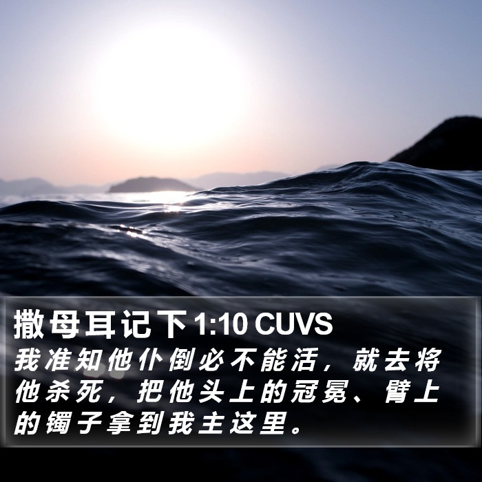 撒 母 耳 记 下 1:10 CUVS Bible Study