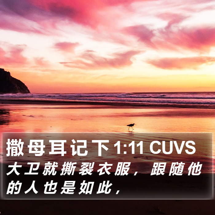 撒 母 耳 记 下 1:11 CUVS Bible Study