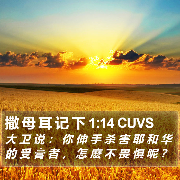 撒 母 耳 记 下 1:14 CUVS Bible Study