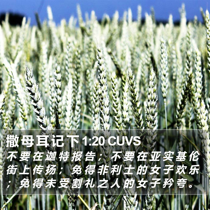 撒 母 耳 记 下 1:20 CUVS Bible Study