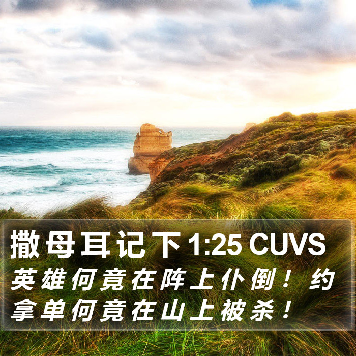 撒 母 耳 记 下 1:25 CUVS Bible Study