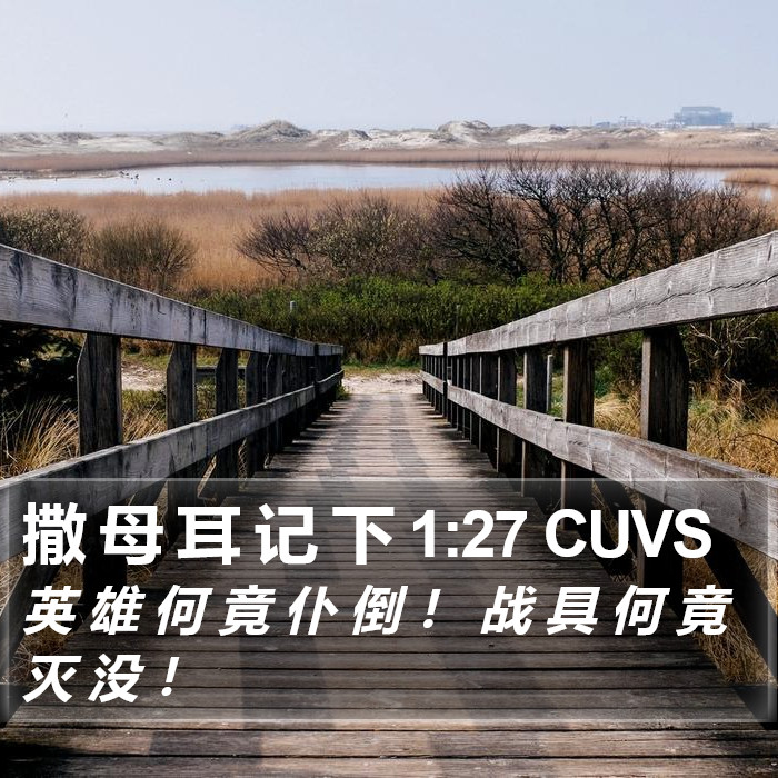 撒 母 耳 记 下 1:27 CUVS Bible Study