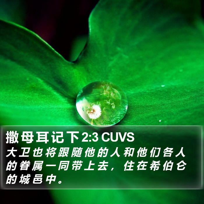 撒 母 耳 记 下 2:3 CUVS Bible Study