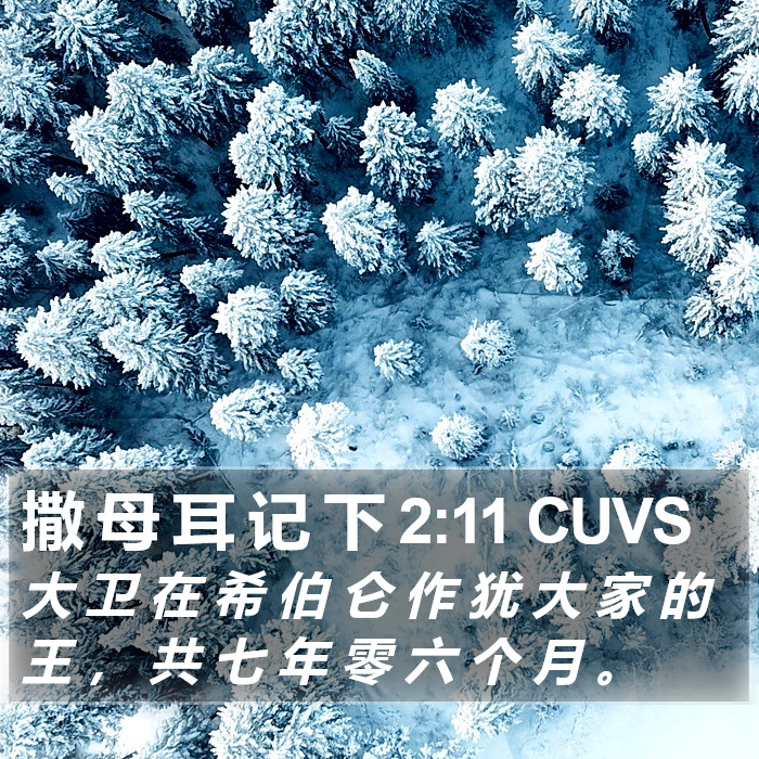 撒 母 耳 记 下 2:11 CUVS Bible Study