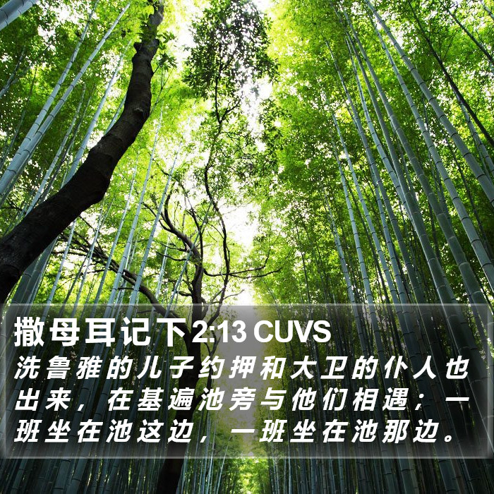 撒 母 耳 记 下 2:13 CUVS Bible Study