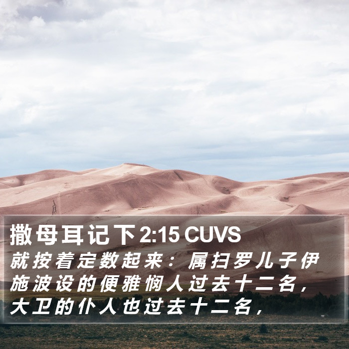 撒 母 耳 记 下 2:15 CUVS Bible Study