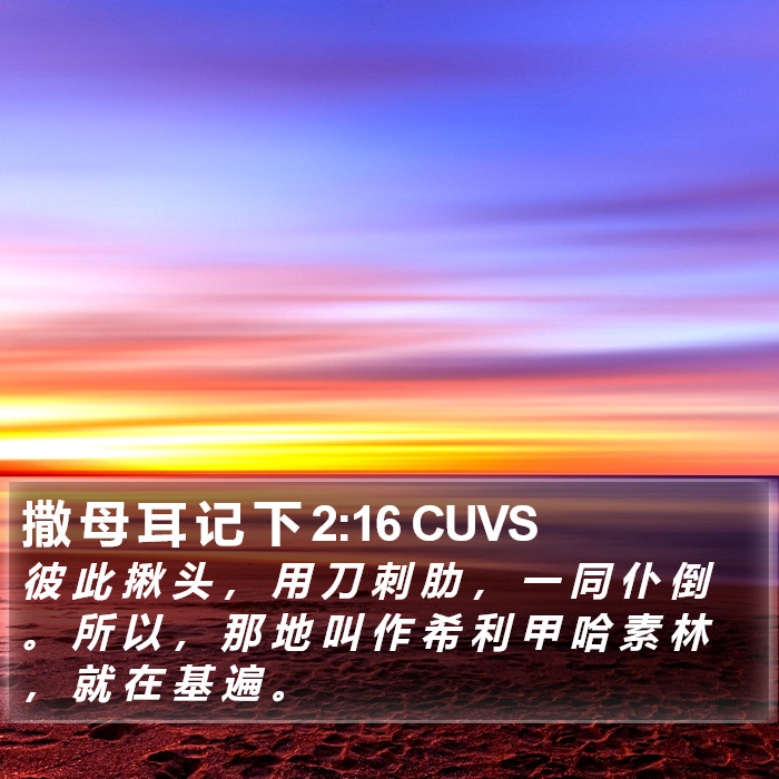 撒 母 耳 记 下 2:16 CUVS Bible Study