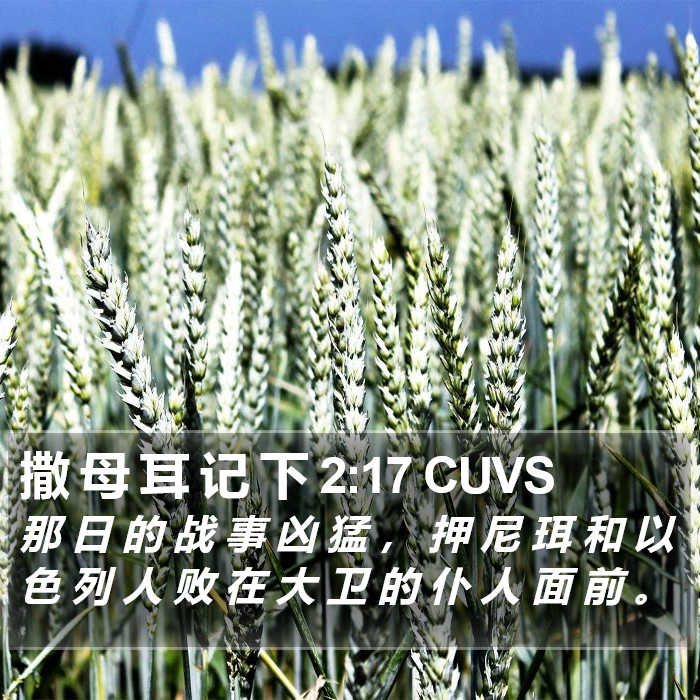 撒 母 耳 记 下 2:17 CUVS Bible Study