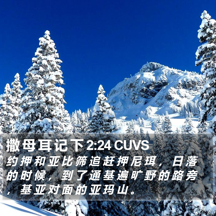 撒 母 耳 记 下 2:24 CUVS Bible Study