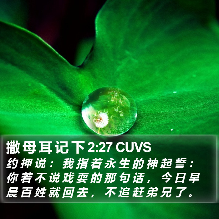 撒 母 耳 记 下 2:27 CUVS Bible Study
