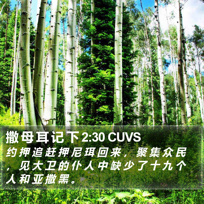 撒 母 耳 记 下 2:30 CUVS Bible Study