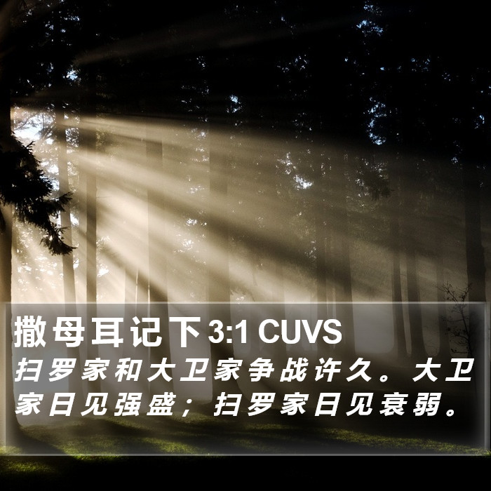 撒 母 耳 记 下 3:1 CUVS Bible Study
