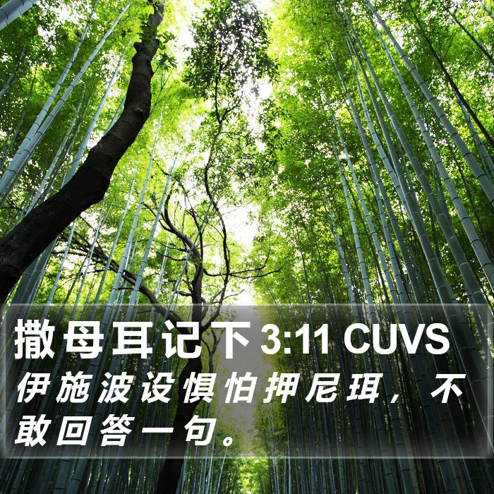 撒 母 耳 记 下 3:11 CUVS Bible Study