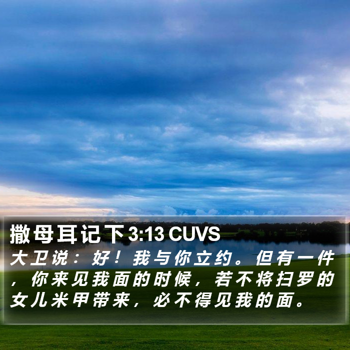 撒 母 耳 记 下 3:13 CUVS Bible Study