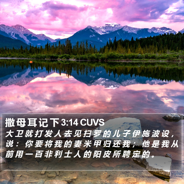 撒 母 耳 记 下 3:14 CUVS Bible Study