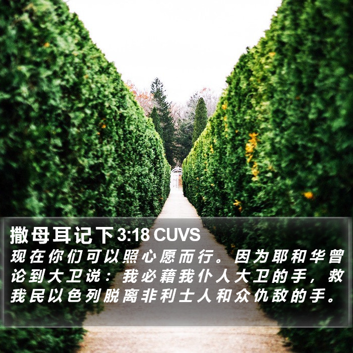 撒 母 耳 记 下 3:18 CUVS Bible Study