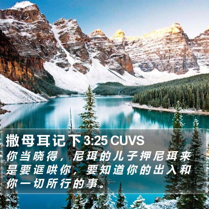 撒 母 耳 记 下 3:25 CUVS Bible Study