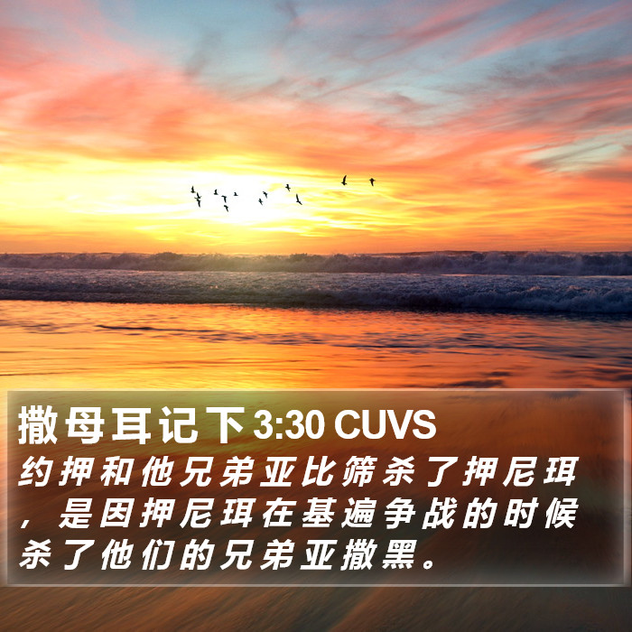 撒 母 耳 记 下 3:30 CUVS Bible Study