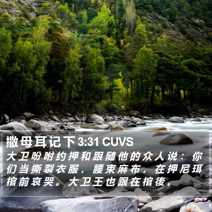 撒 母 耳 记 下 3:31 CUVS Bible Study