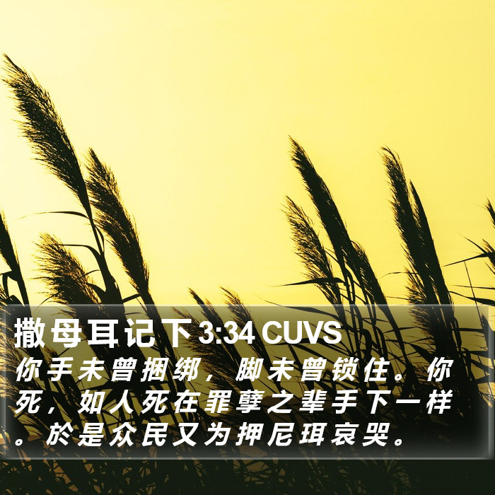 撒 母 耳 记 下 3:34 CUVS Bible Study