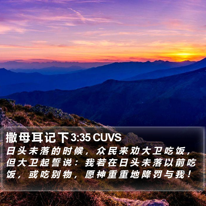 撒 母 耳 记 下 3:35 CUVS Bible Study