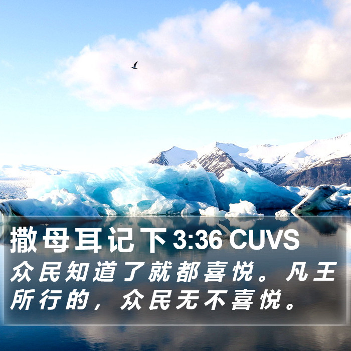 撒 母 耳 记 下 3:36 CUVS Bible Study