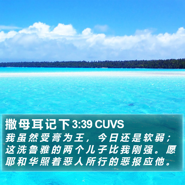 撒 母 耳 记 下 3:39 CUVS Bible Study