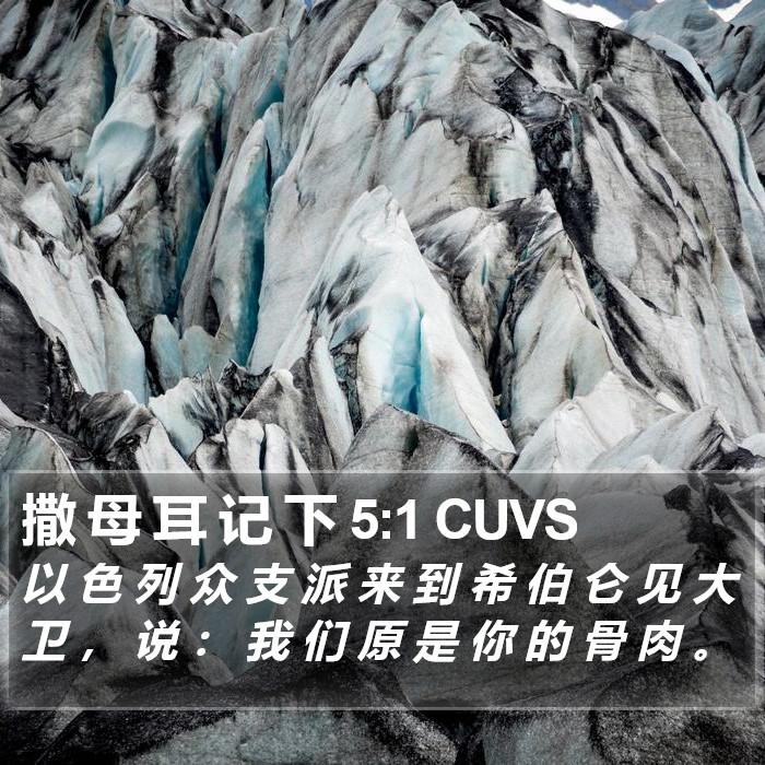 撒 母 耳 记 下 5:1 CUVS Bible Study
