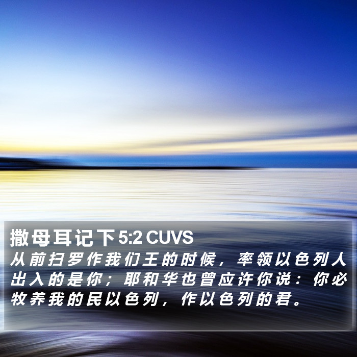 撒 母 耳 记 下 5:2 CUVS Bible Study