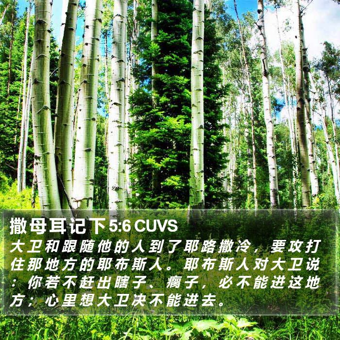 撒 母 耳 记 下 5:6 CUVS Bible Study