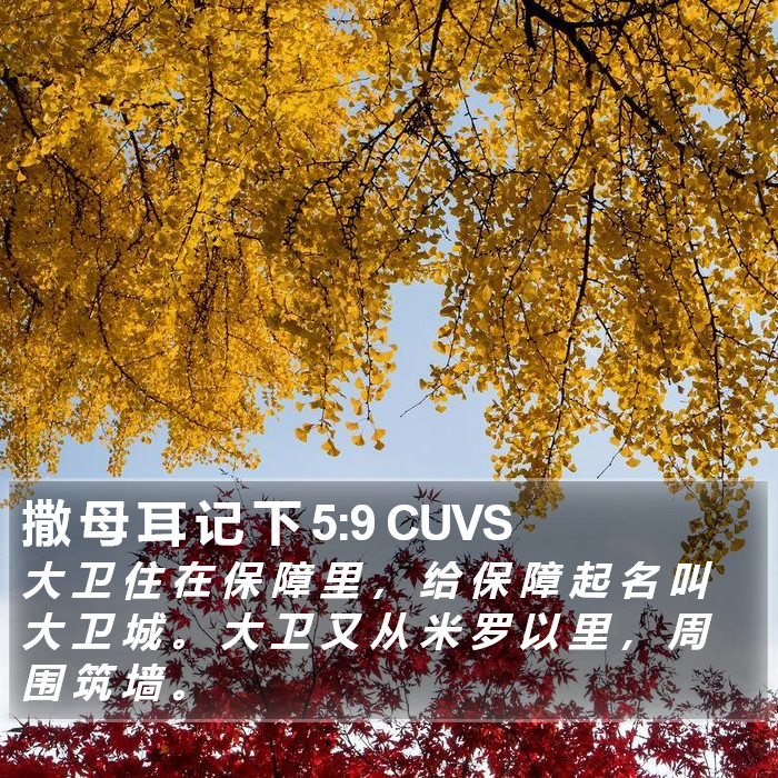 撒 母 耳 记 下 5:9 CUVS Bible Study