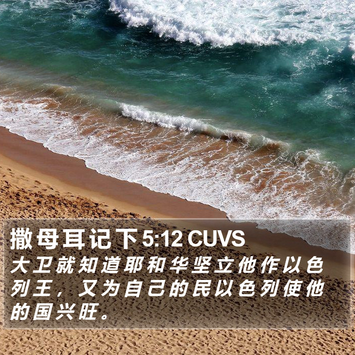 撒 母 耳 记 下 5:12 CUVS Bible Study