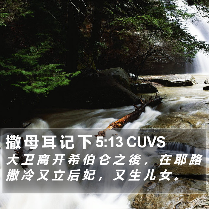 撒 母 耳 记 下 5:13 CUVS Bible Study
