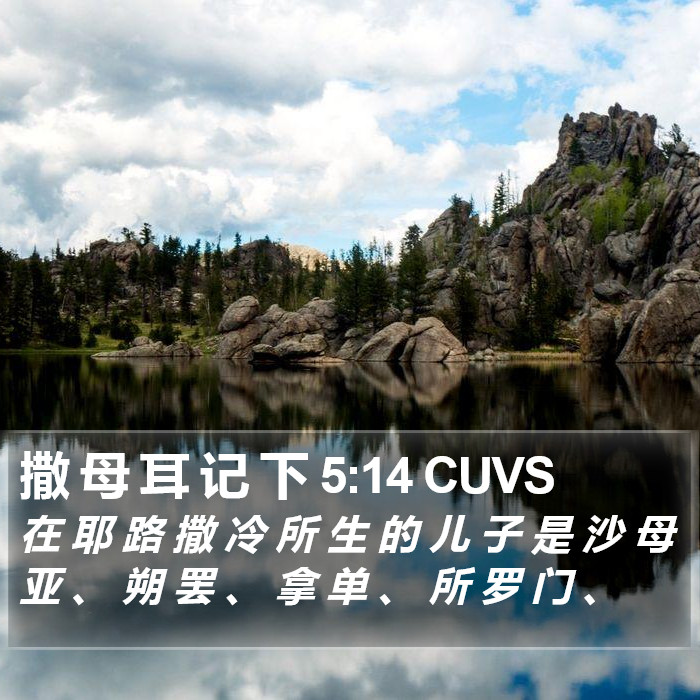 撒 母 耳 记 下 5:14 CUVS Bible Study