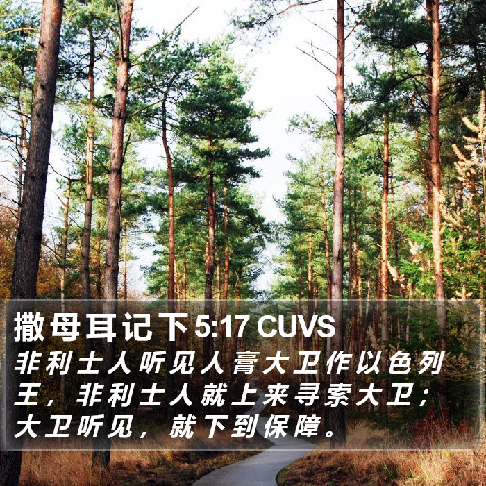 撒 母 耳 记 下 5:17 CUVS Bible Study