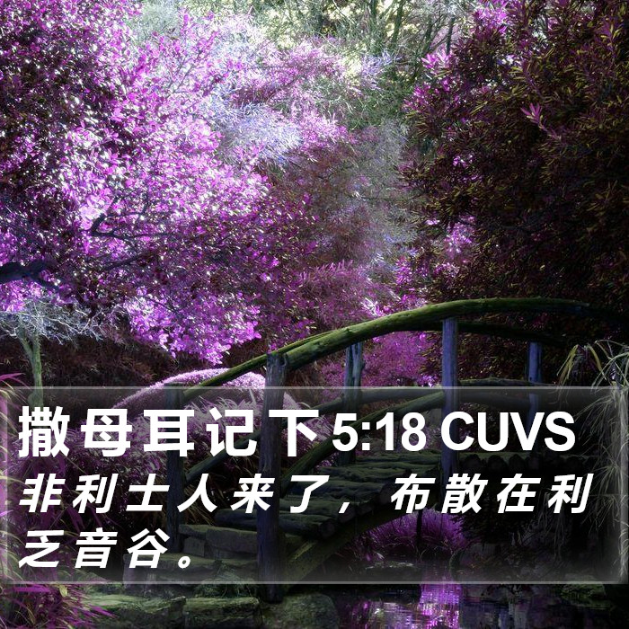 撒 母 耳 记 下 5:18 CUVS Bible Study