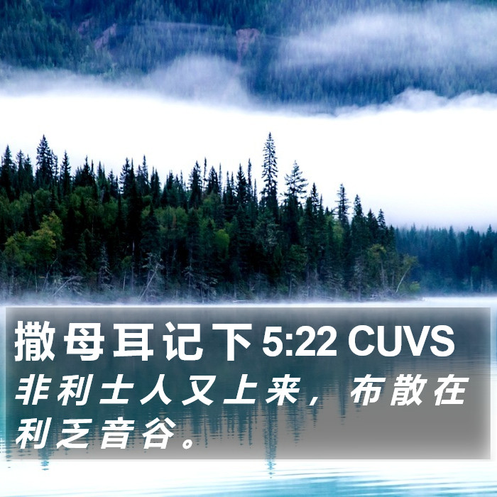 撒 母 耳 记 下 5:22 CUVS Bible Study