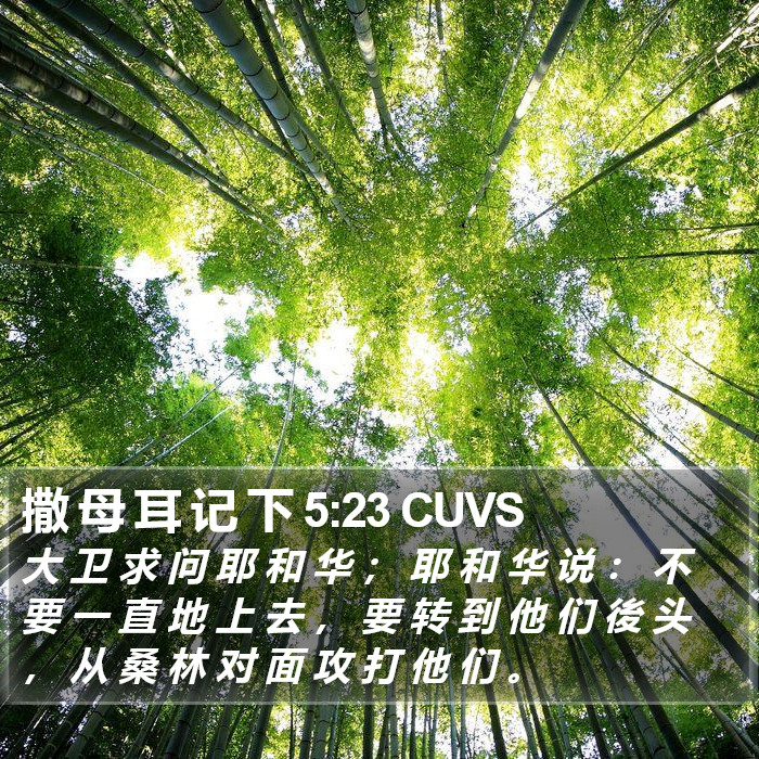 撒 母 耳 记 下 5:23 CUVS Bible Study