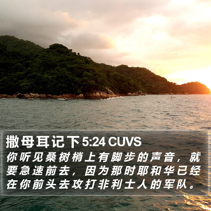 撒 母 耳 记 下 5:24 CUVS Bible Study