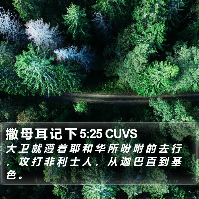 撒 母 耳 记 下 5:25 CUVS Bible Study