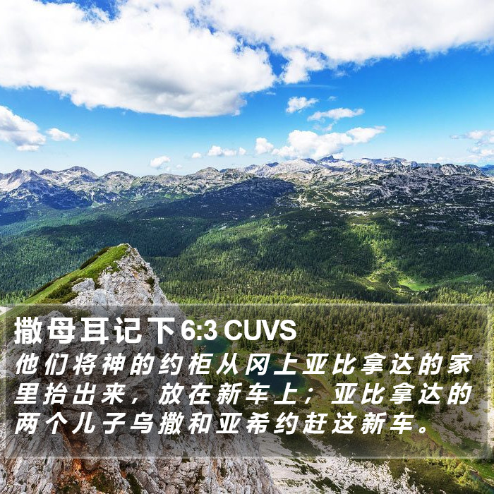 撒 母 耳 记 下 6:3 CUVS Bible Study