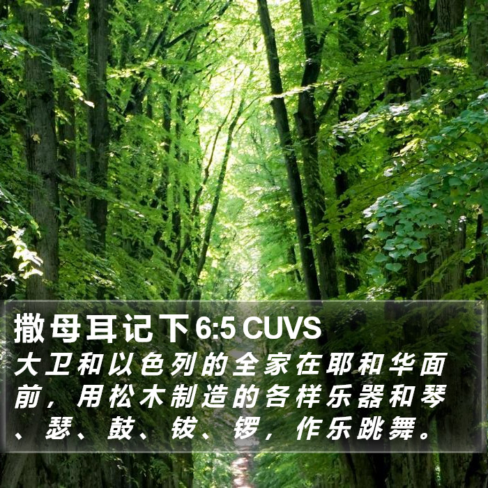 撒 母 耳 记 下 6:5 CUVS Bible Study