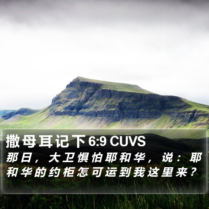 撒 母 耳 记 下 6:9 CUVS Bible Study